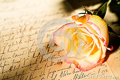 Red yellow rose over a hand written letter Stock Photo