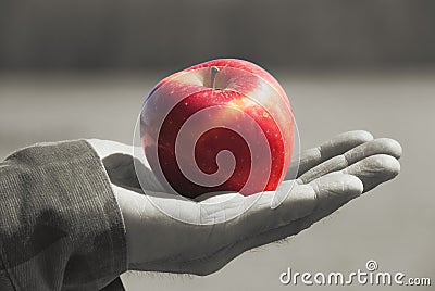 Red young juicy solid fruit apple under sunlight on a mens old hand of an elderly man, against background a lake water. Stock Photo