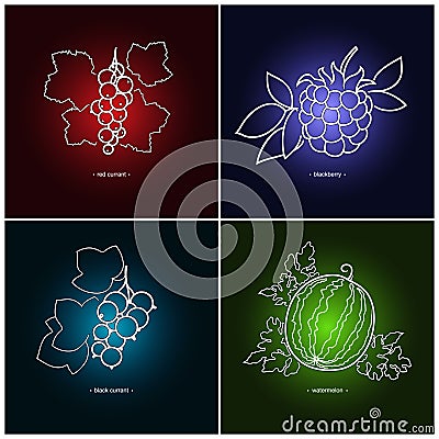 Redcurrant,Blackberry, Blackcurrant,Watermelon Vector Illustration