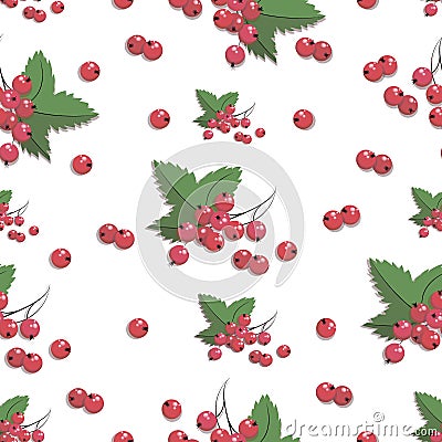 Redcurrant pattern. Vector currant berries. Twig redcurrant with leaf isolated on white background Vector Illustration