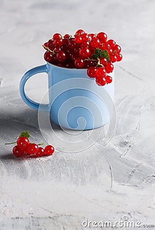 Redcurrant pile ribes rubrum blue cup blue napkin light backgr Stock Photo
