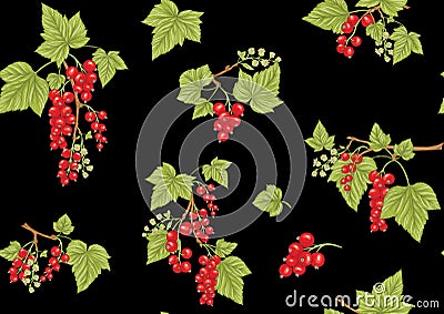 Redcurrant red ribes. Ripe berries. Seamless pattern, background Vector Illustration