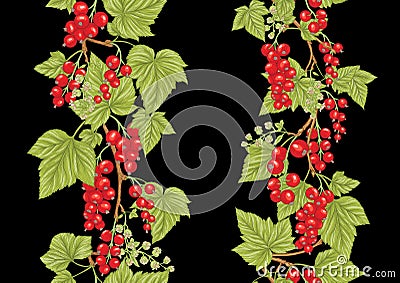 Redcurrant red ribes. Ripe berries. Seamless pattern, background Vector Illustration