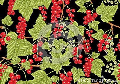 Redcurrant red ribes. Ripe berries. Seamless pattern, background Vector Illustration