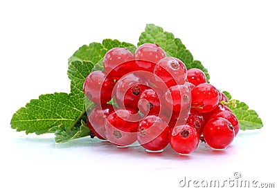 Redcurrants Stock Photo