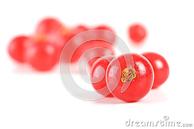 Redcurrants Stock Photo