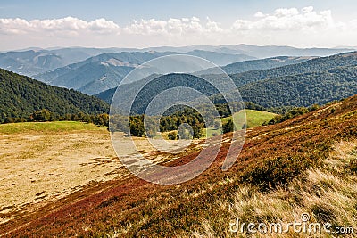 Reddish weathered grassy carpet of hillside Stock Photo