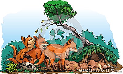 Redfox cubs Vector Illustration