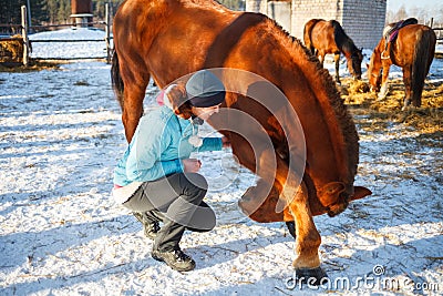 Redhead Girl taught a red horse to swear and dance Stock Photo