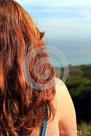 Back of a red-haired woman's head. Stock Photo