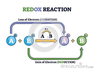 Redox reaction as atoms chemical oxidation states change outline diagram Vector Illustration