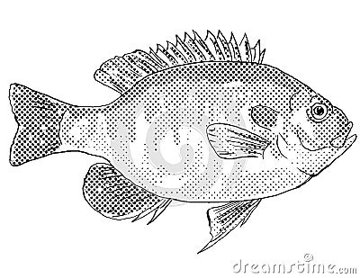 Redspotted sunfish Lepomis miniatus or stumpknocker Freshwater Fish Cartoon Drawing Stock Photo