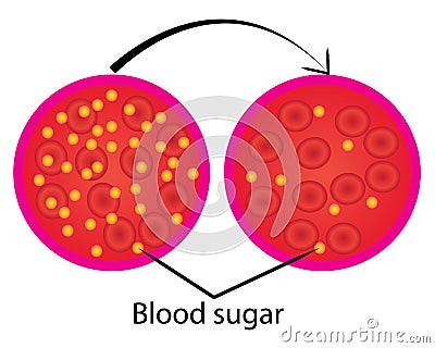 Reduce blood sugar level control Vector Illustration