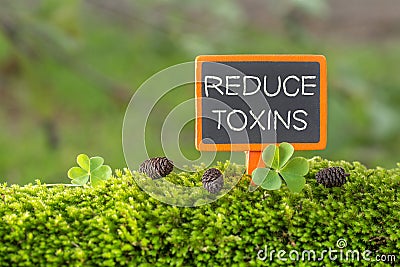 Reduce toxins text on small blackboard Stock Photo