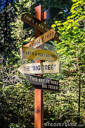 A signs and symbols pole in Redwood National and State Parks, California Editorial Stock Photo