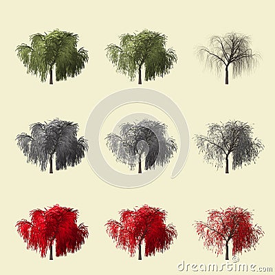 Redwood tree 3d rendering isolated for landscape designer. Stock Photo