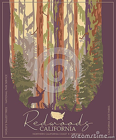 Redwoods park in California vector colorful poster. State parks. World`s tallest trees. Vector Illustration