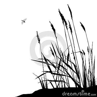 Reed and flying dragonfly - vector illustration Vector Illustration