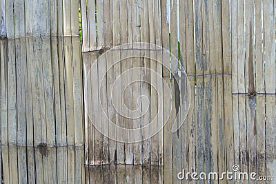 Reed texture for background or backdrop use Stock Photo