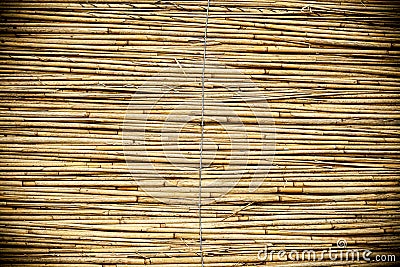 Reed Texture Stock Photo