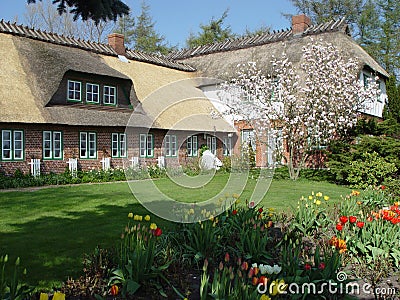 Cottage with reed roof Stock Photo