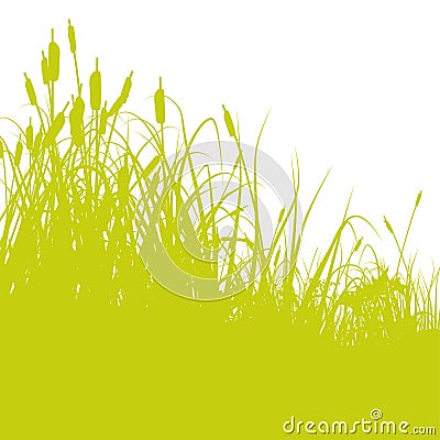 Reeds at the edge of the pond Vector Illustration