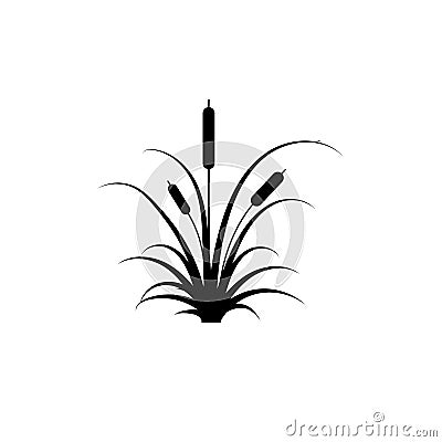 Reeds plant vector icon. Illustration of reeds on white isolated background. Vector Illustration