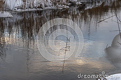 Reeds in the small river with snowy banks. Stock Photo