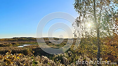 Reeds and sparse trees grow in the swamp, and the water rises in places, forming a dangerous mire. Beyond the swamp is a mixed for Stock Photo