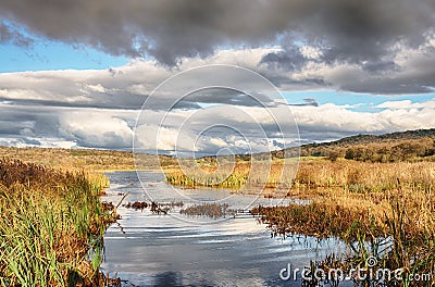 Reeds and water at Leighton Moss, Lancashire Stock Photo