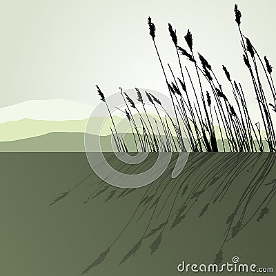 Reeds in the water - vector Vector Illustration