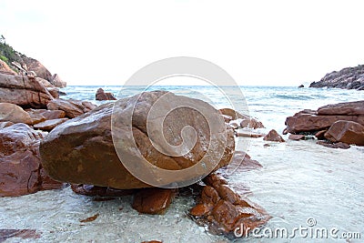 Reef on beach Stock Photo