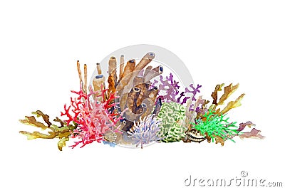 Reef with colorful corals, sponge, anemone and shell. Underwater landscape, hand drawn watercolor Cartoon Illustration