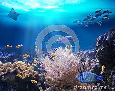 Reef with marine animals. 3D illustration Cartoon Illustration