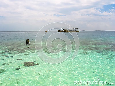 Reef in tropical sea Stock Photo