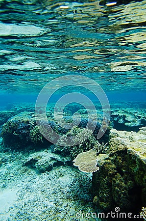 The Reef in YOSHINO Coast Stock Photo