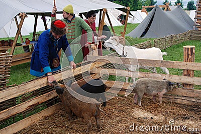 Reenactors show their skills. They feed farm animals Editorial Stock Photo