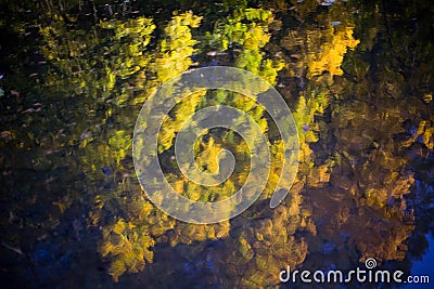 Refelction of colorful leaves during autumn fall season Stock Photo