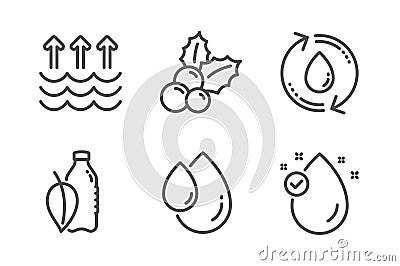 Refill water, Christmas holly and Oil drop icons set. Water bottle, Evaporation and Vitamin e signs. Vector Vector Illustration