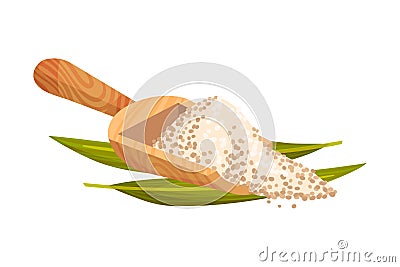 Refined Brown Sugar Rested in Wooden Spoon with Sugarcane Leaf Vector Illustration Vector Illustration