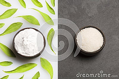 Refined sugar and powder stevia plant - Stevia rebaudiana. Substitute for refined sugar by stevia Stock Photo