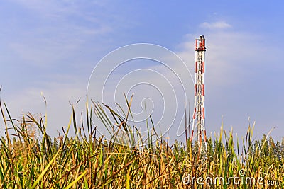 Refinery flare with the grass foreground and blue sky Stock Photo
