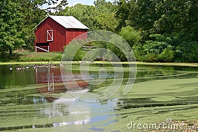 Reflected Barn 3 (horizontal) Stock Photo