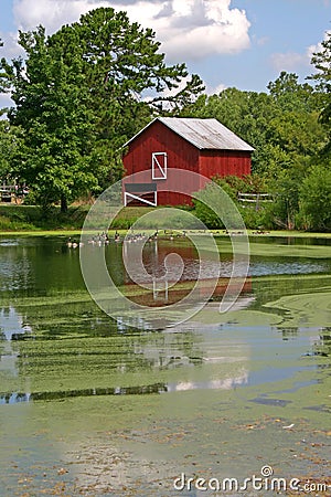 Reflected Barn (vertical) Stock Photo