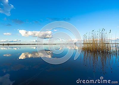 Reflected clouds and reed in a completely calm lake Stock Photo