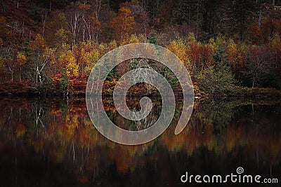 Reflection of autumn forest in lake Stock Photo