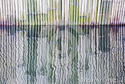 Reflection of bamboo fence Stock Photo