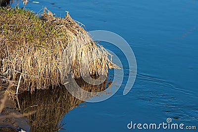 Reflection of a blue sky in a creek with thawed water in the spring April forest at sunset. Stock Photo