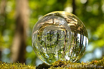 Reflection of bright green forest, leaves, trees and moss inside lensball Stock Photo