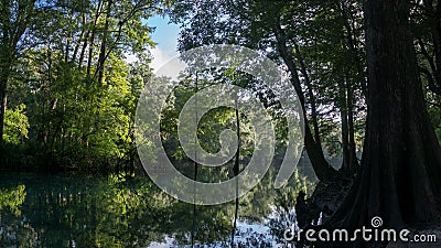 Reflection of the cypress forest in turquoise crystal clear waters of the lagoon of Ginnie Springs, Florida. USA Stock Photo